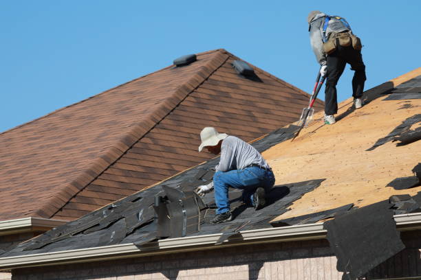 Best Skylight Installation and Repair  in Newark, OH