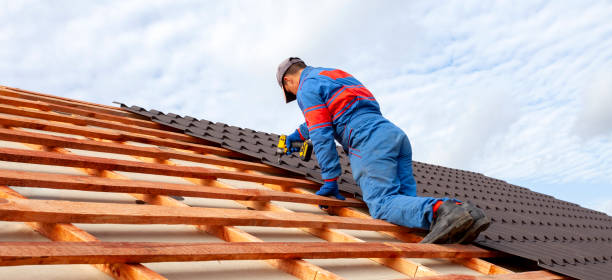 Best Roof Ventilation Installation  in Newark, OH